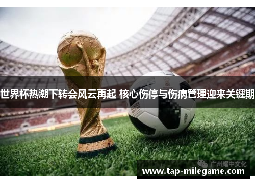 世界杯热潮下转会风云再起 核心伤停与伤病管理迎来关键期