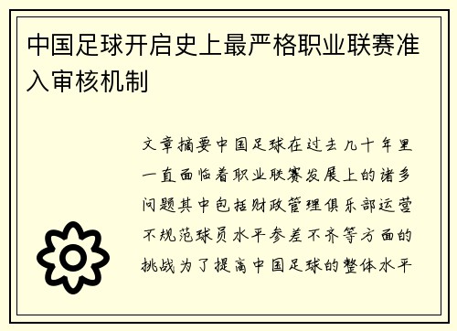 中国足球开启史上最严格职业联赛准入审核机制